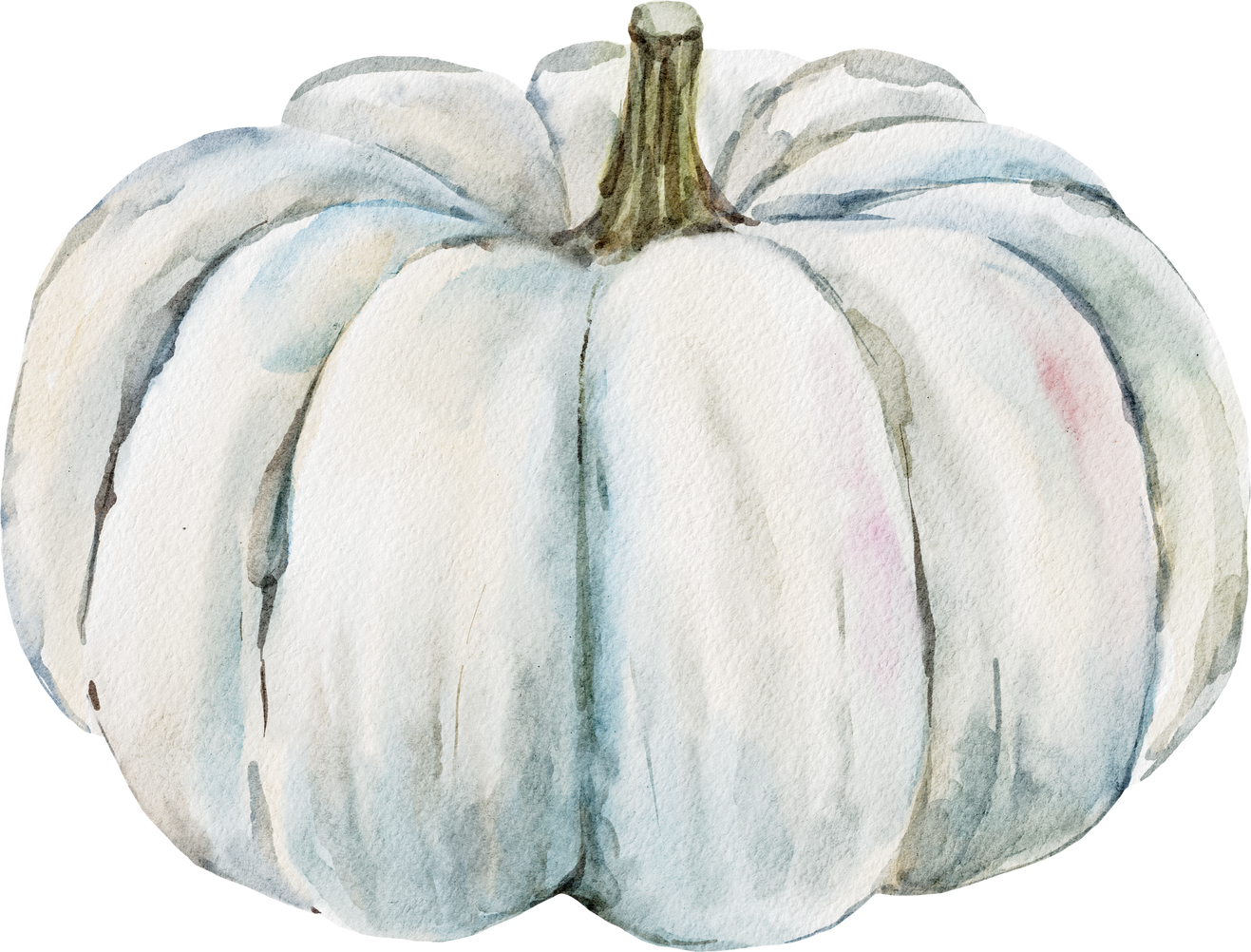 Watercolor Pumpkin Illustration.